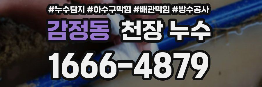 감정동 천장 누수