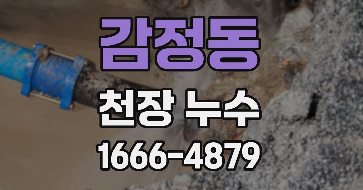 감정동 천장 누수
