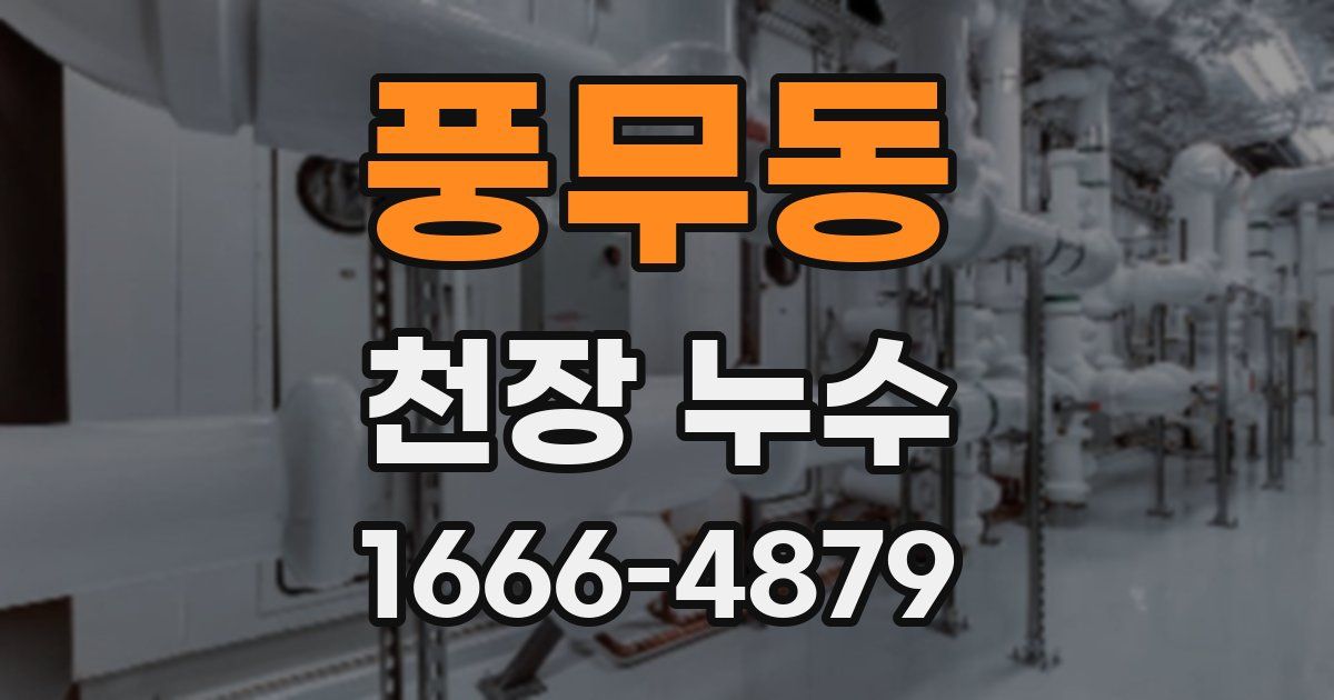 풍무동 천장 누수