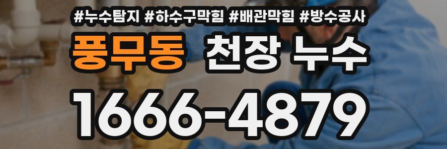 풍무동 천장 누수