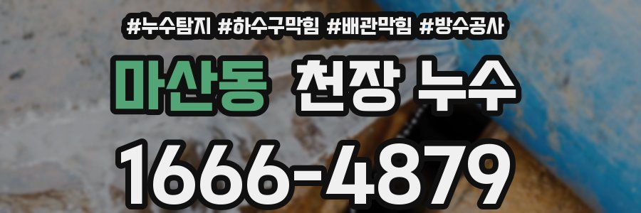 마산동 천장 누수