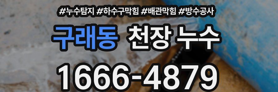 구래동 천장 누수