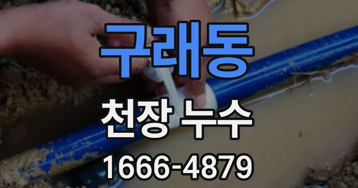 구래동 천장 누수