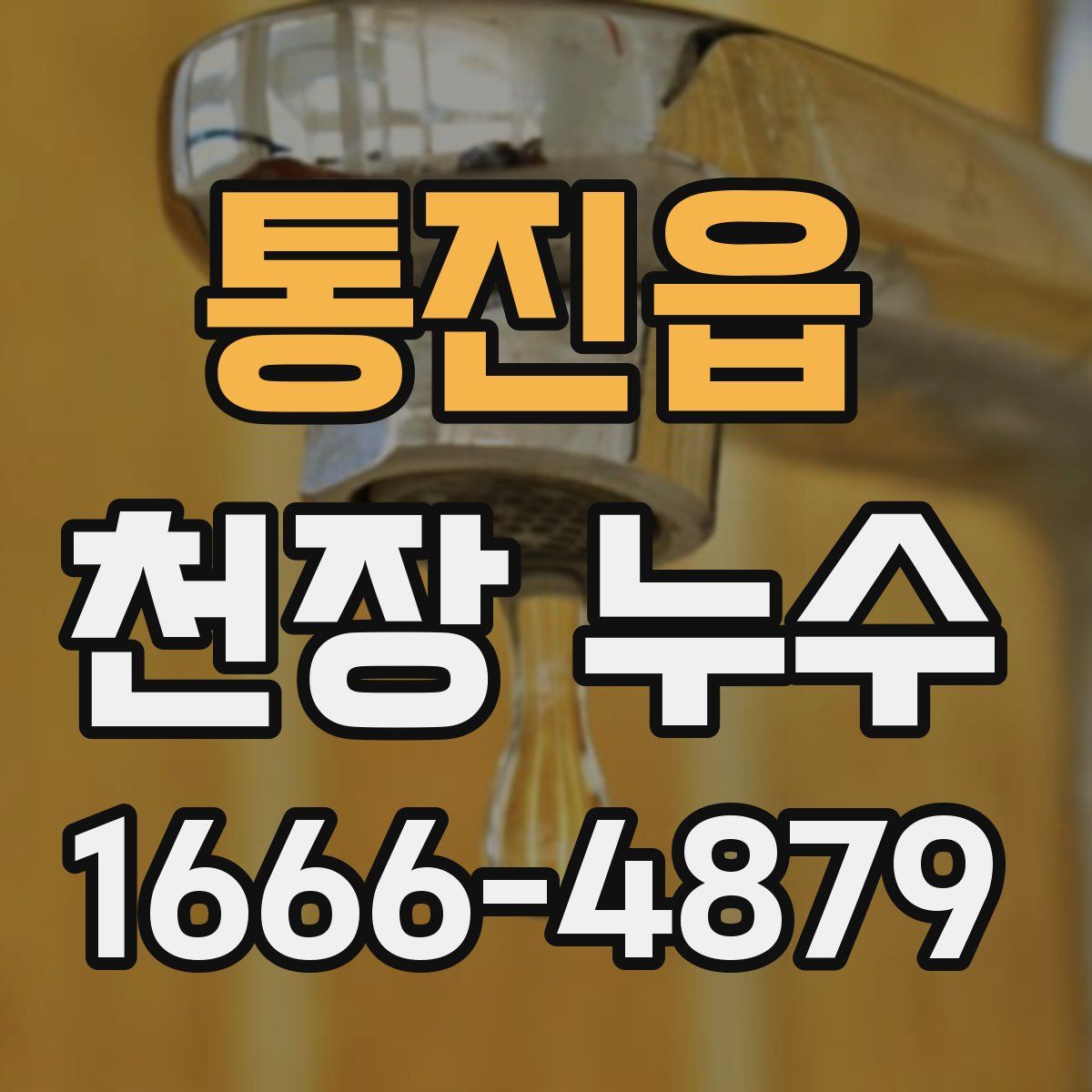 통진읍 천장 누수