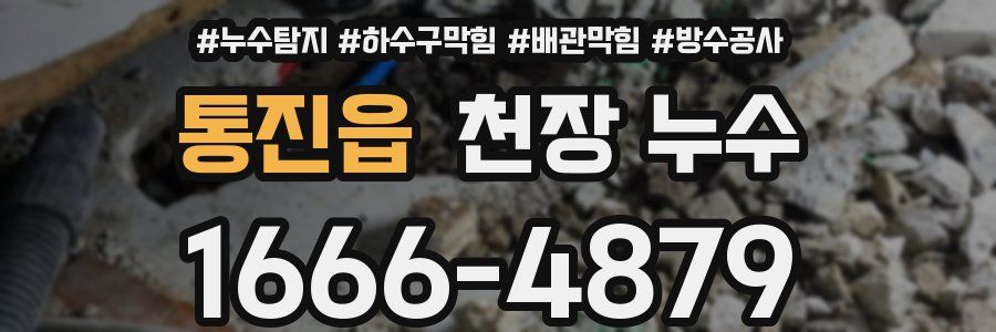 통진읍 천장 누수