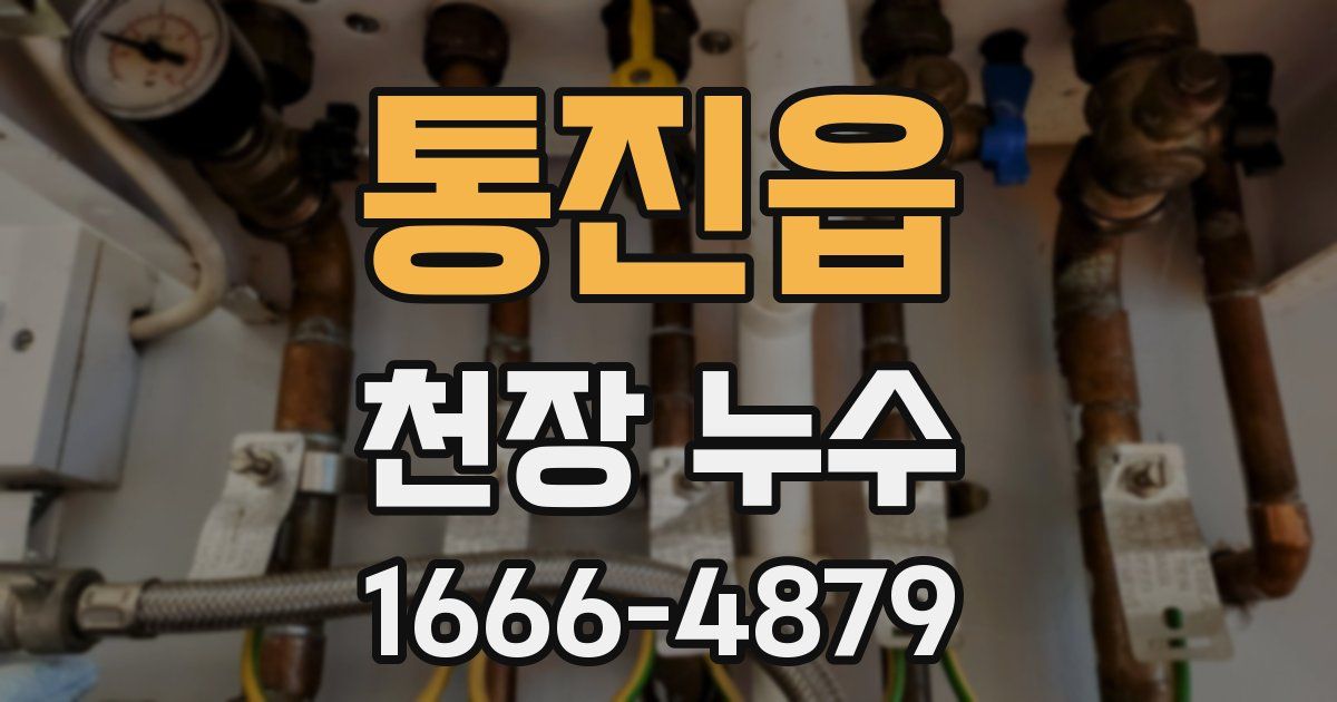 통진읍 천장 누수