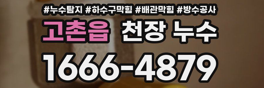 고촌읍 천장 누수