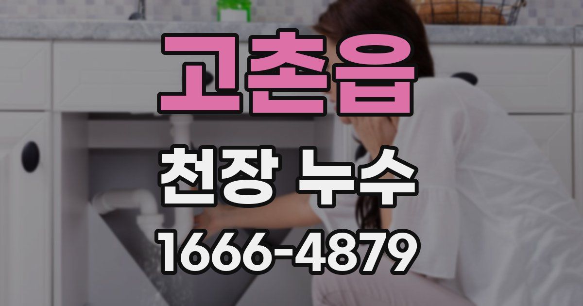 고촌읍 천장 누수