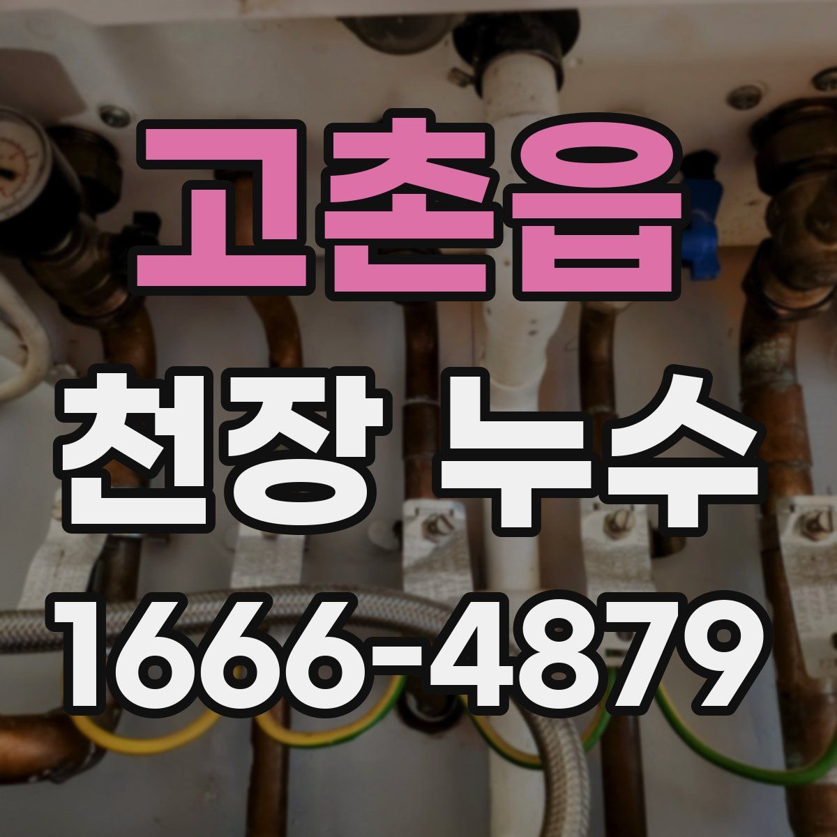 고촌읍 천장 누수