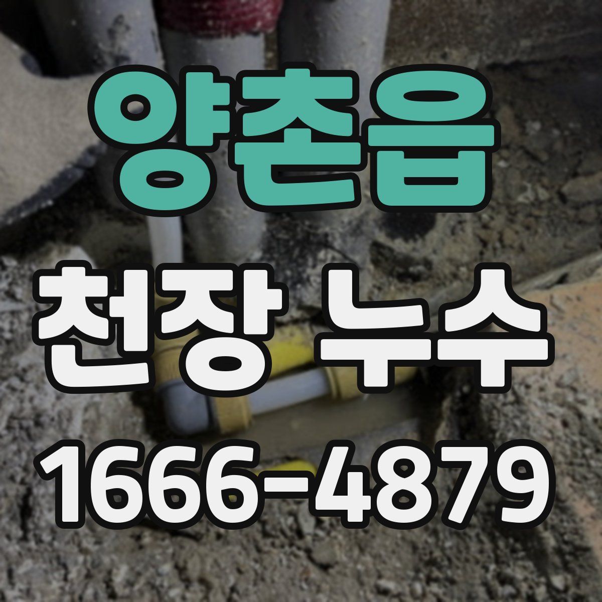 양촌읍 천장 누수