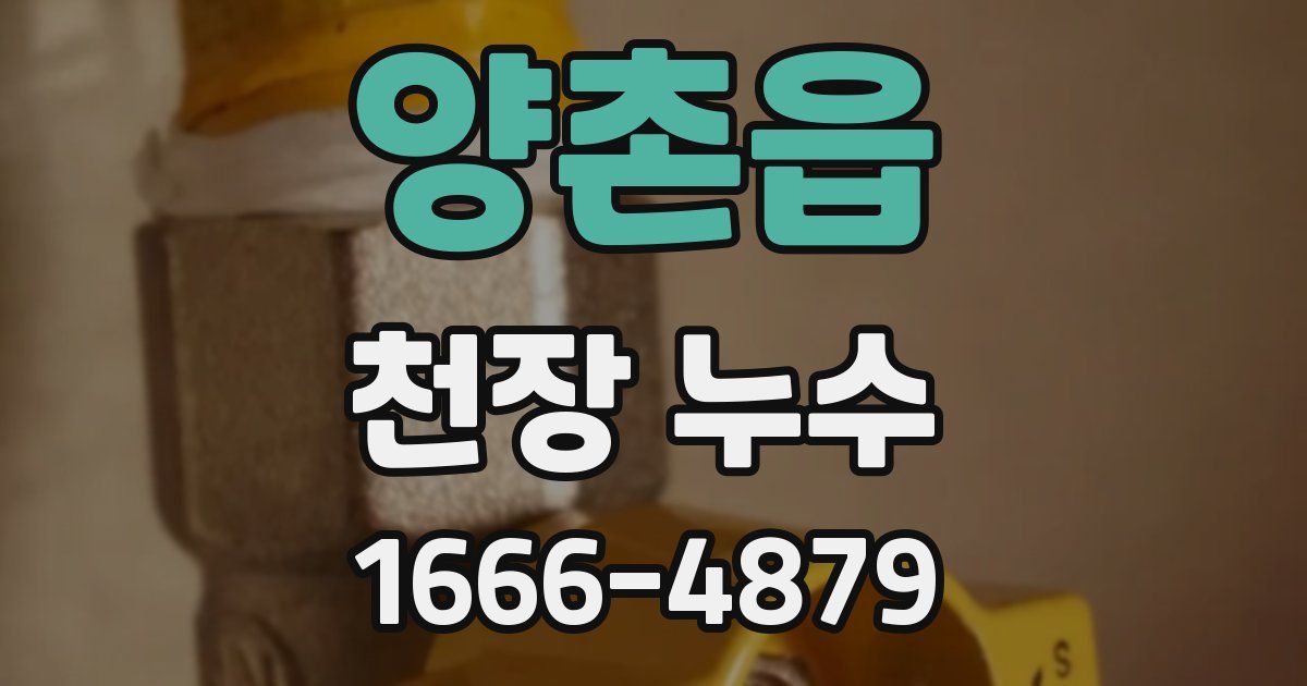 양촌읍 천장 누수