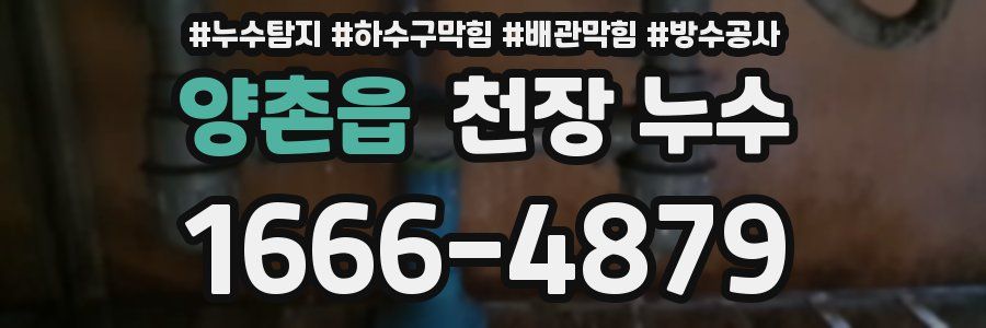 양촌읍 천장 누수