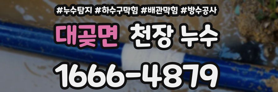 대곶면 천장 누수
