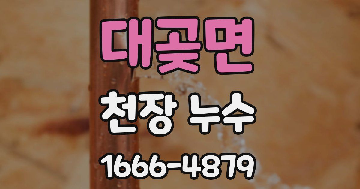 대곶면 천장 누수