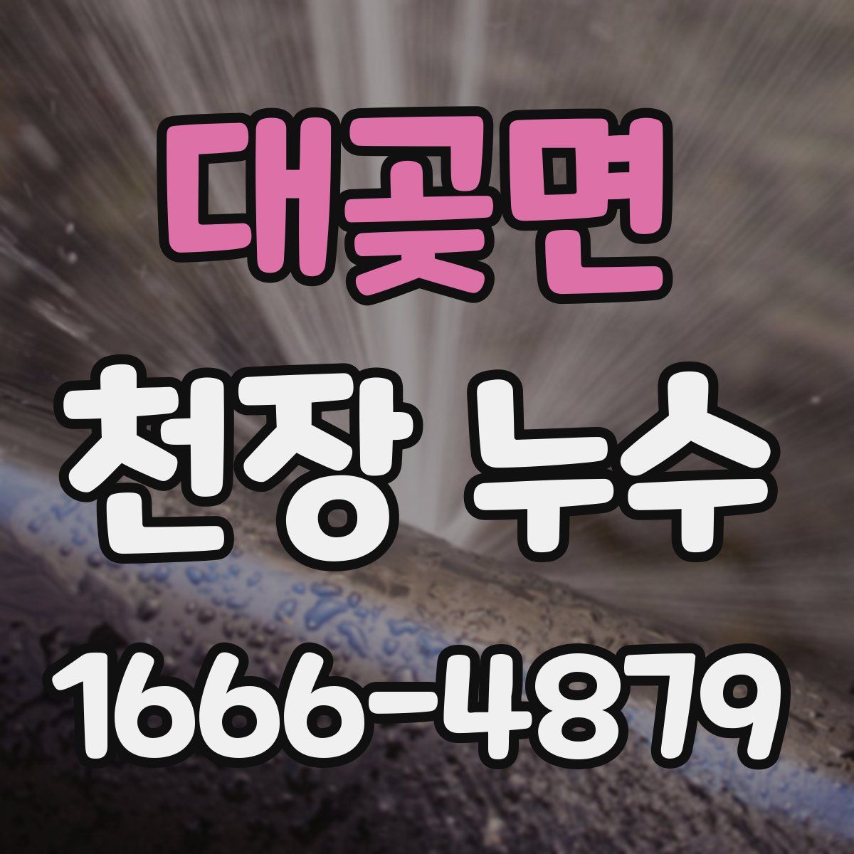대곶면 천장 누수