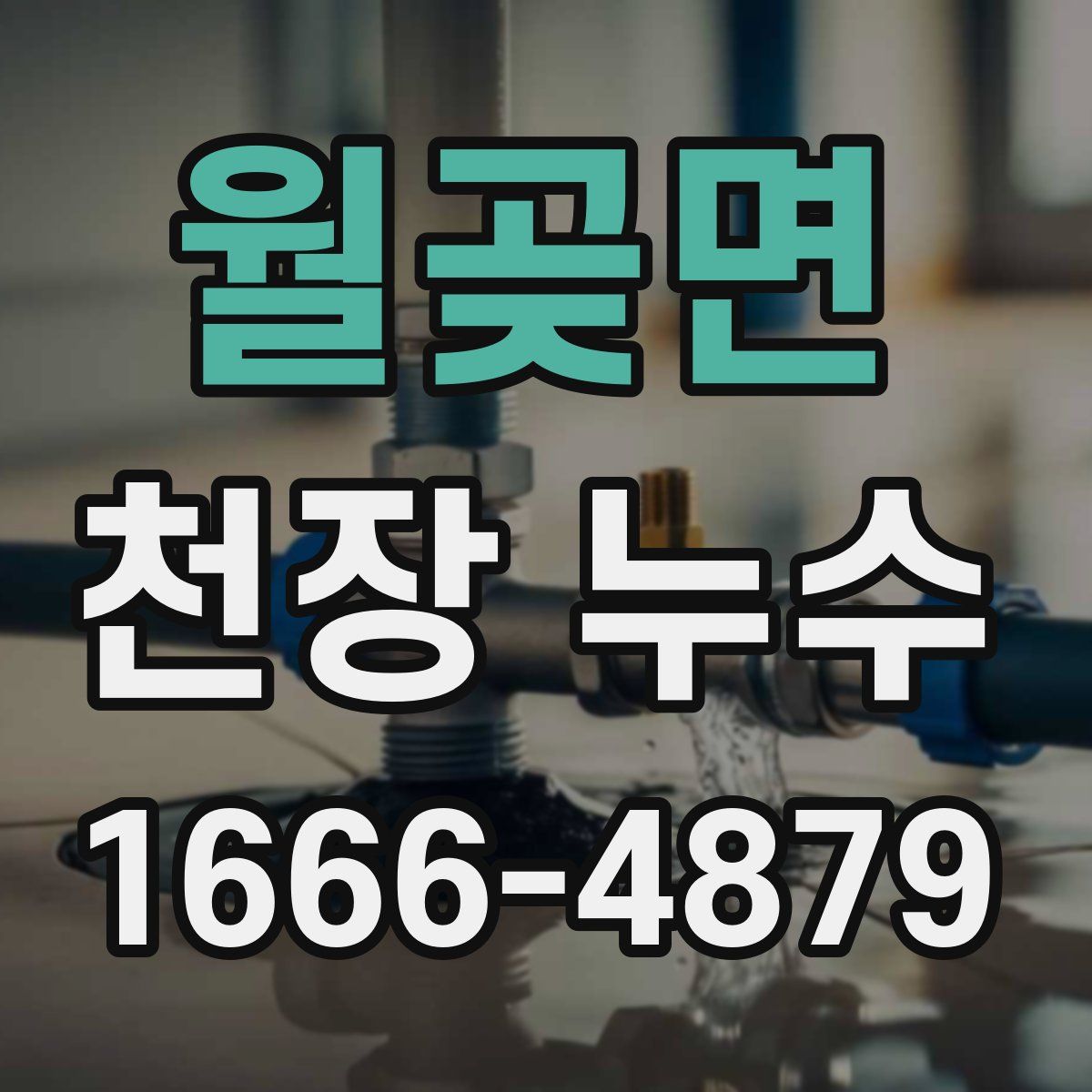 월곶면 천장 누수