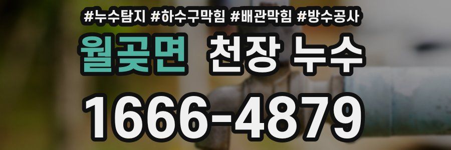 월곶면 천장 누수