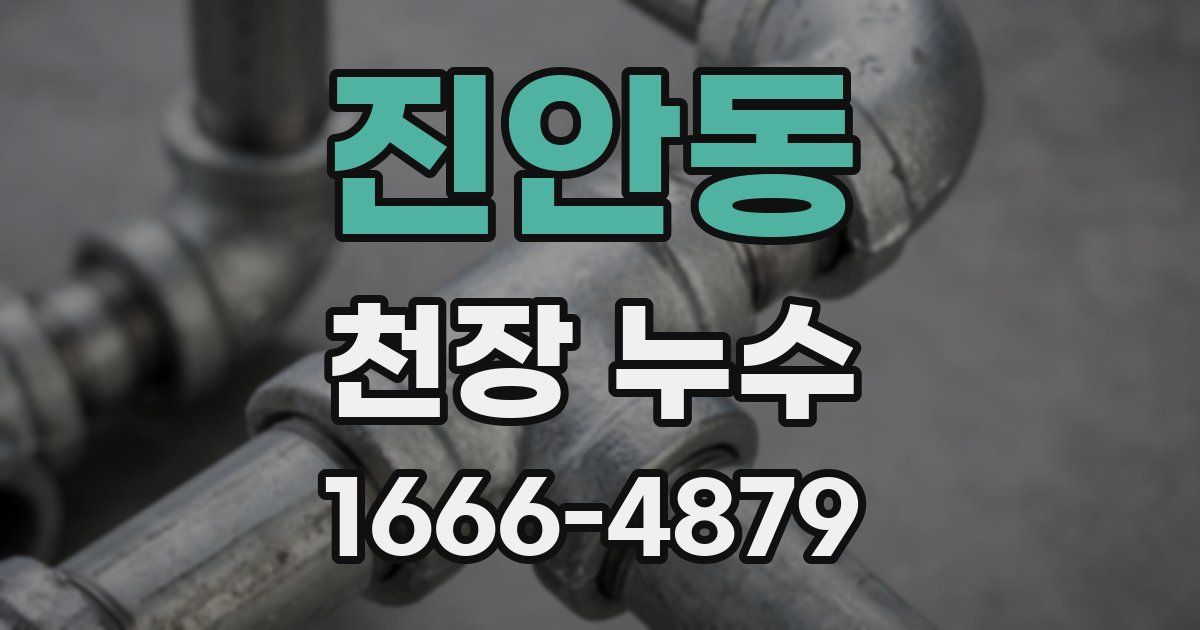 진안동 천장 누수