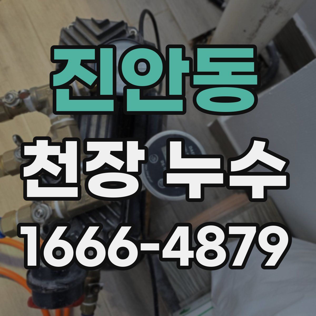 진안동 천장 누수
