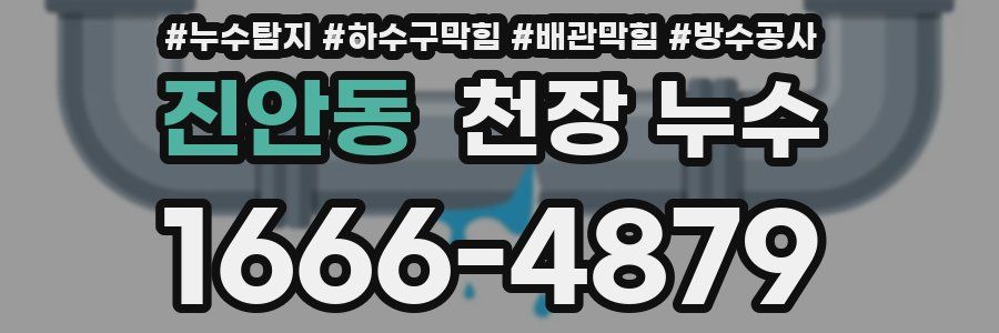 진안동 천장 누수