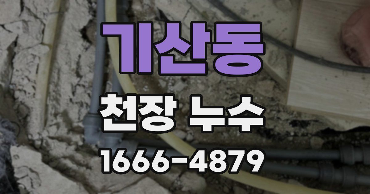 기산동 천장 누수