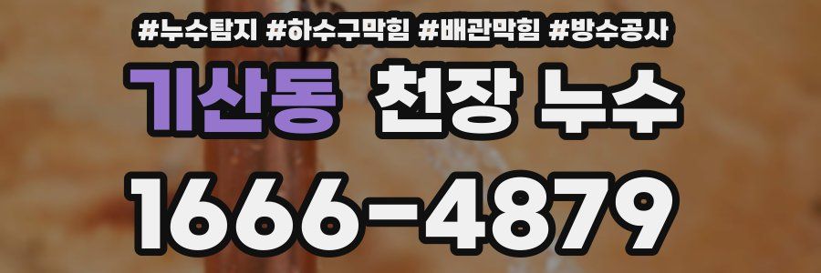 기산동 천장 누수