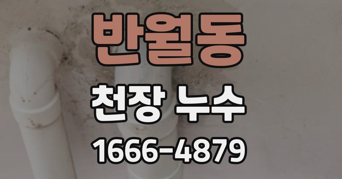반월동 천장 누수