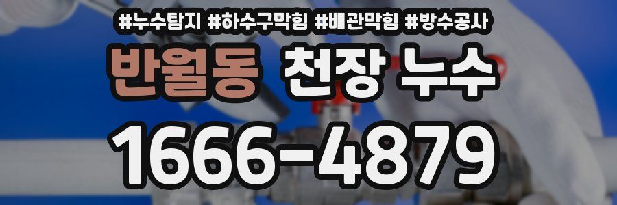 반월동 천장 누수