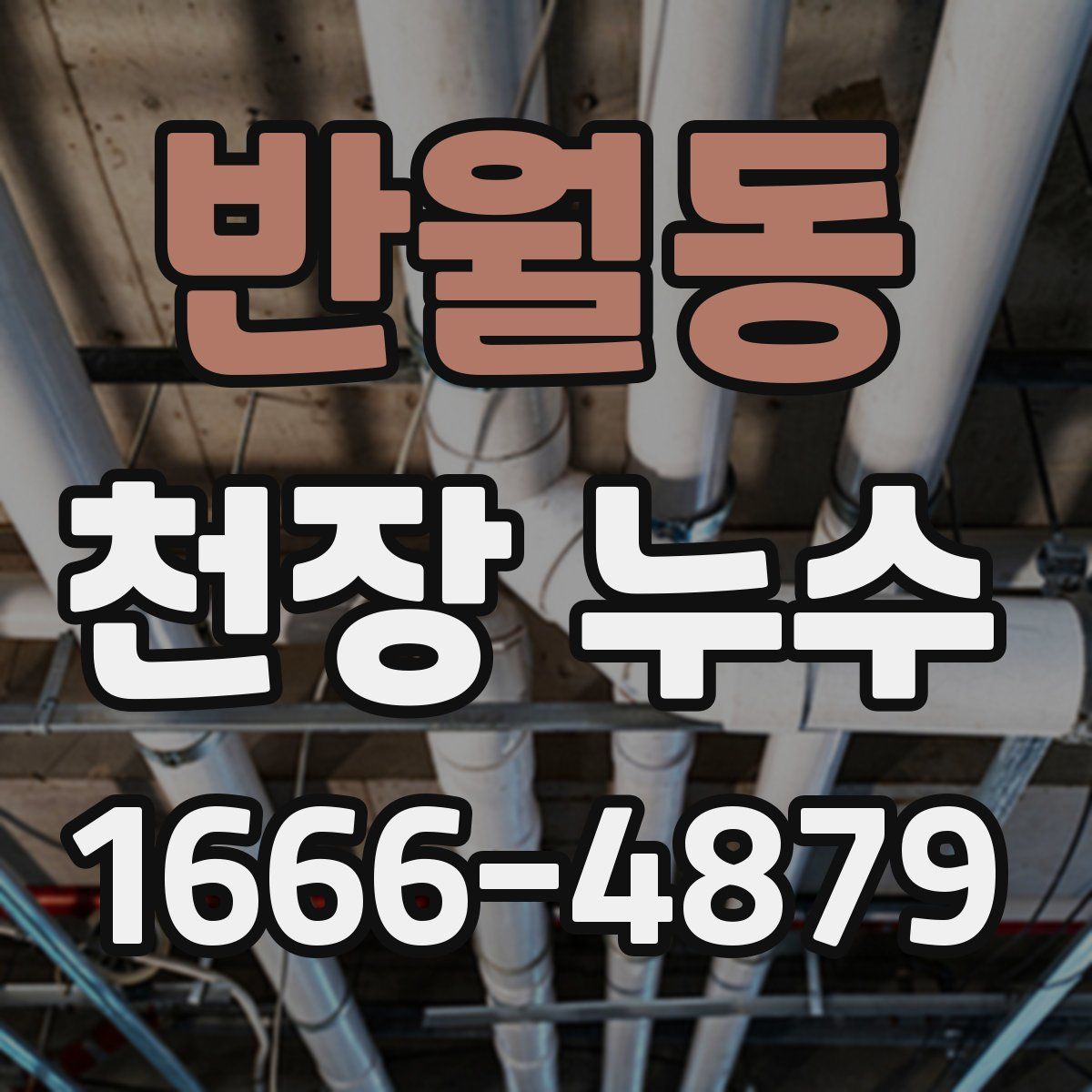 반월동 천장 누수