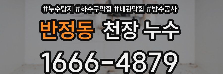 반정동 천장 누수