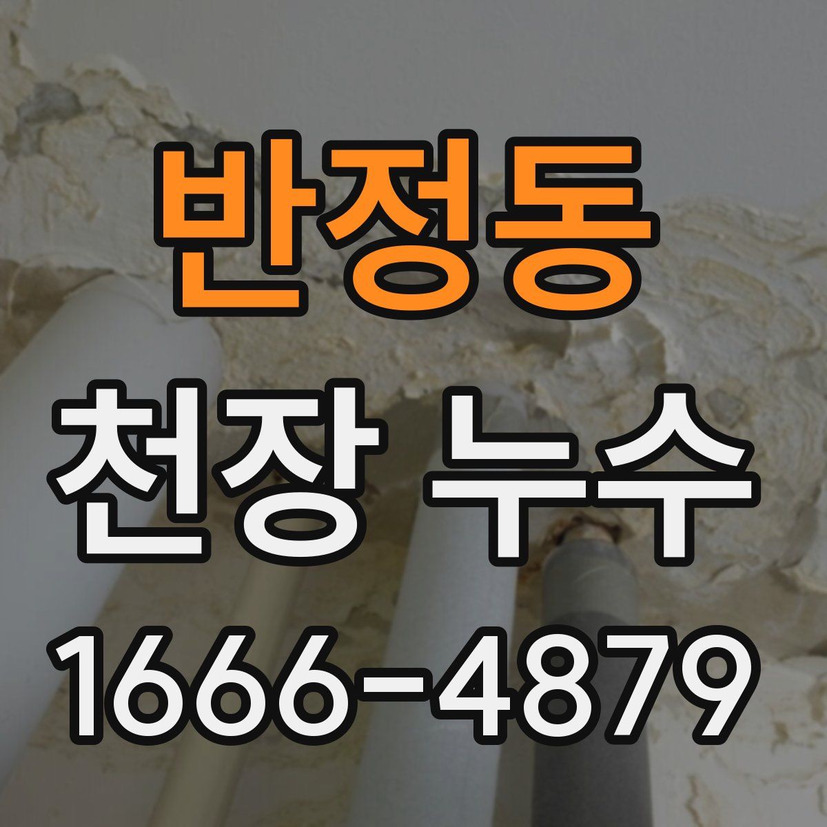 반정동 천장 누수