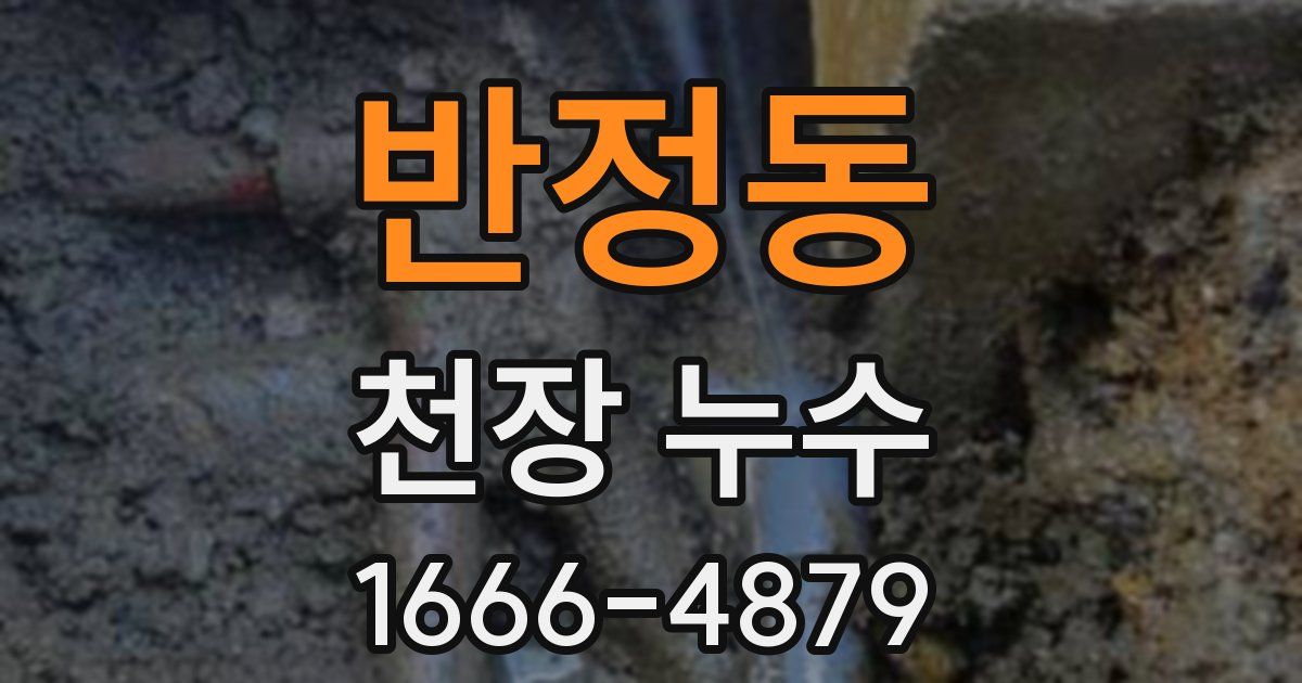 반정동 천장 누수