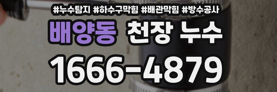 배양동 천장 누수