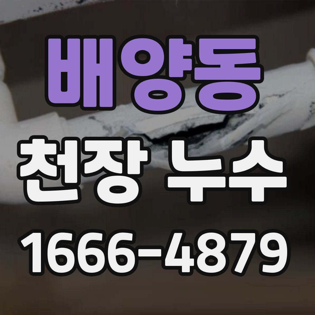 배양동 천장 누수