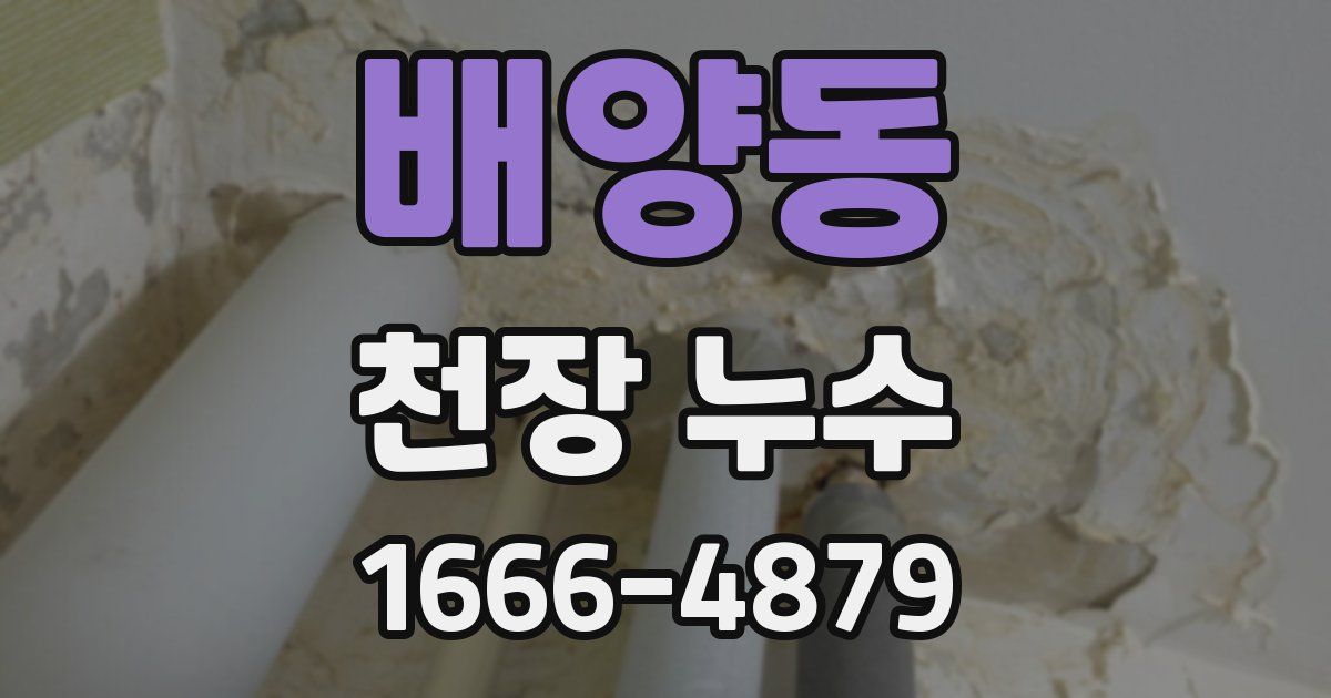 배양동 천장 누수