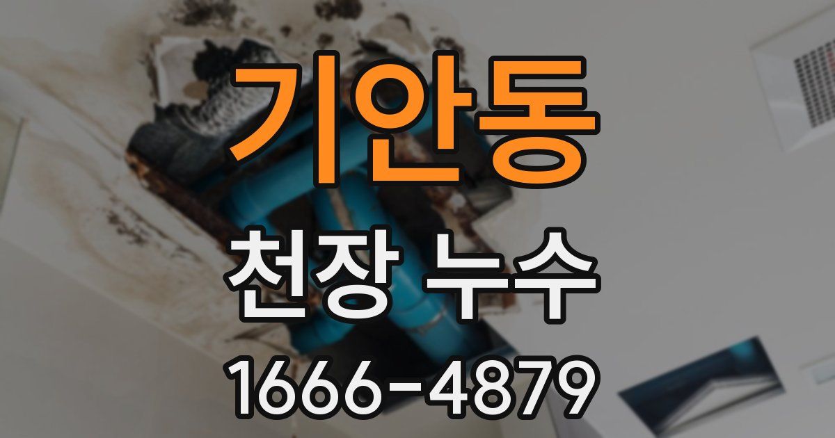기안동 천장 누수