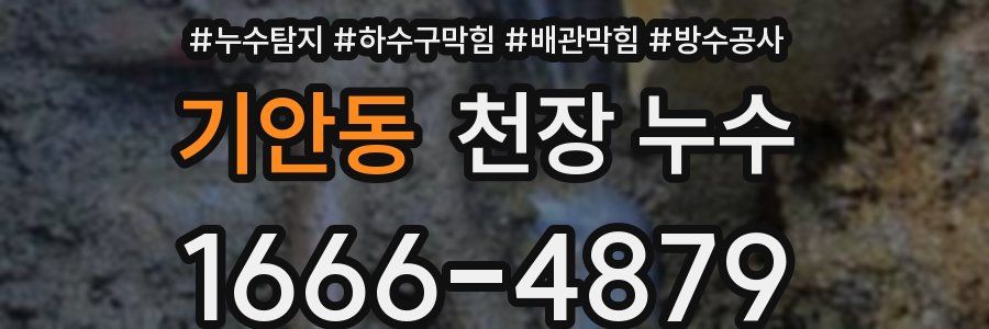 기안동 천장 누수