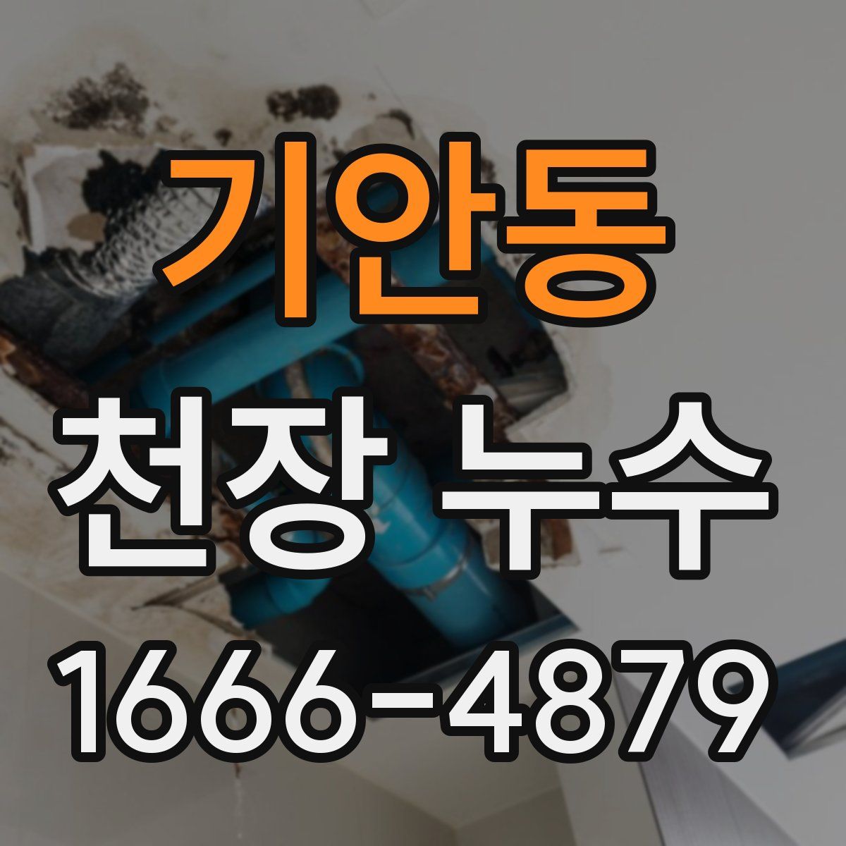 기안동 천장 누수