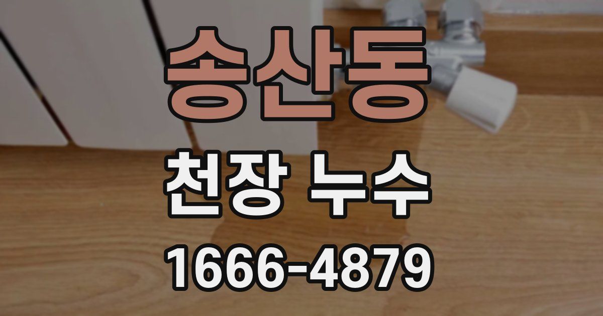 송산동 천장 누수