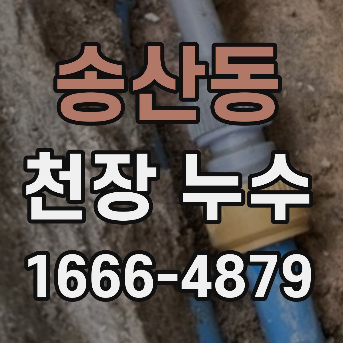송산동 천장 누수