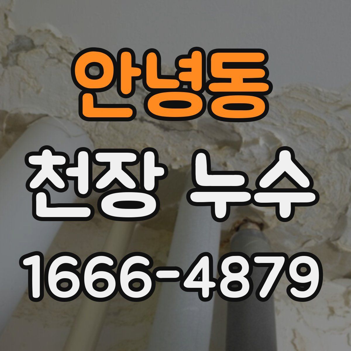 안녕동 천장 누수
