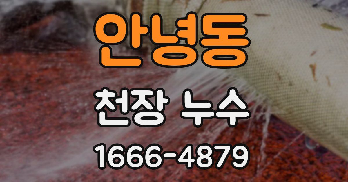 안녕동 천장 누수