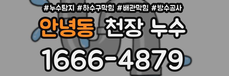 안녕동 천장 누수