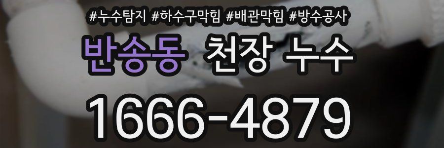 반송동 천장 누수