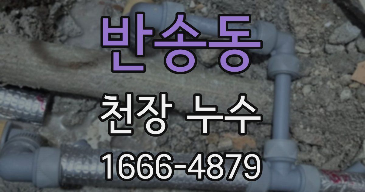 반송동 천장 누수