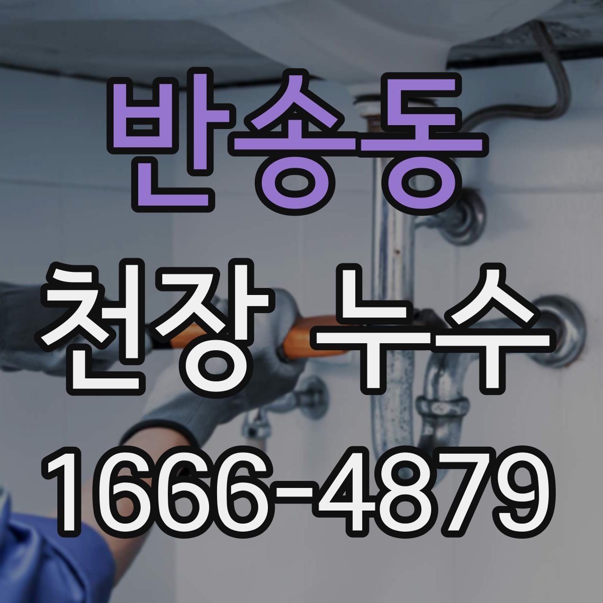 반송동 천장 누수