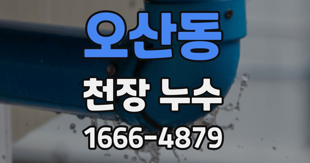 오산동 천장 누수