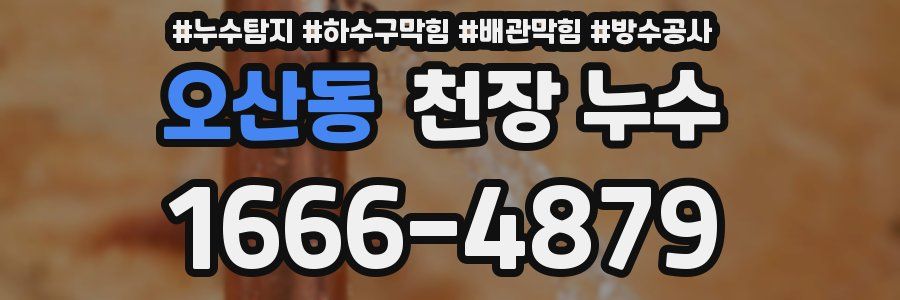 오산동 천장 누수