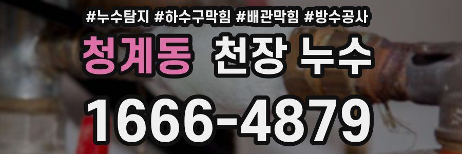 청계동 천장 누수