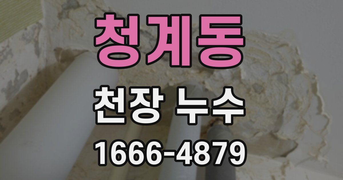 청계동 천장 누수